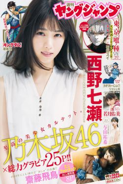 精英部队2